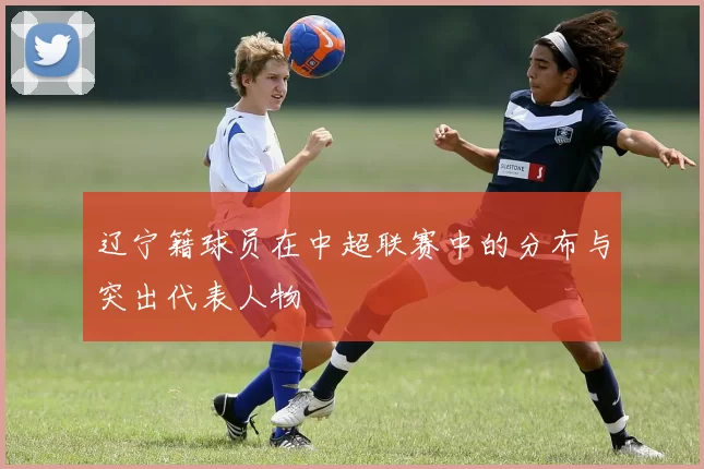辽宁籍球员在中超联赛中的分布与突出代表人物