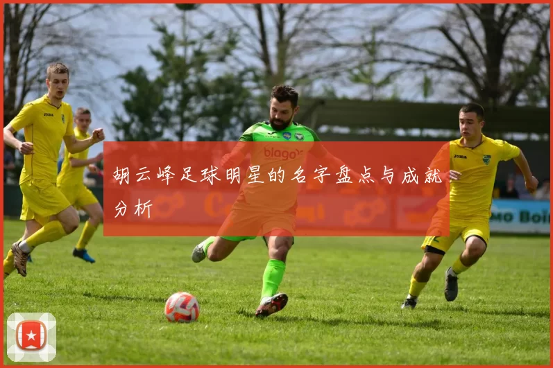 胡云峰足球明星的名字盘点与成就分析