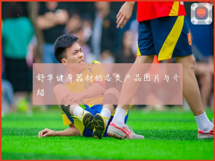 舒华健身器材的各类产品图片与介绍