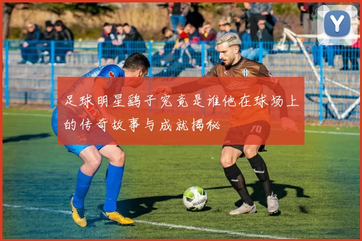 足球明星鹞子究竟是谁他在球场上的传奇故事与成就揭秘