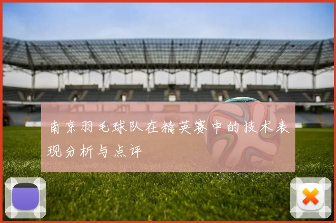 南京羽毛球队在精英赛中的技术表现分析与点评