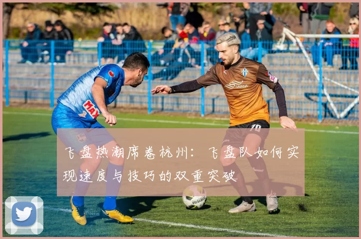 飞盘热潮席卷杭州：飞盘队如何实现速度与技巧的双重突破