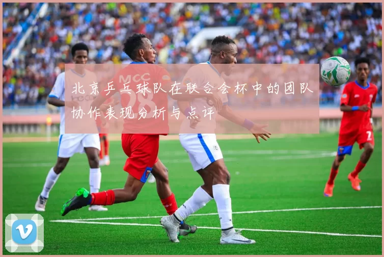 北京乒乓球队在联合会杯中的团队协作表现分析与点评