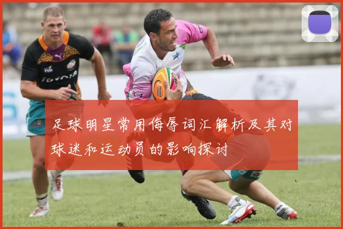 足球明星常用侮辱词汇解析及其对球迷和运动员的影响探讨